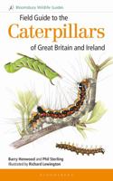 Field Guide to the Caterpillars of Great Britain and Ireland 1472933583 Book Cover