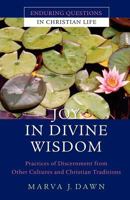 Joy in Divine Wisdom: Practices of Discernment from Other Cultures and Christian Traditions (Enduring Questions in Christian Life) 0787981001 Book Cover