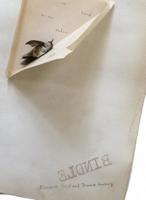 Bindle 1938900138 Book Cover