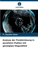 Analyse der Fluidströmung in parallelen Platten mit geneigtem Magnetfeld (German Edition) 6207011791 Book Cover