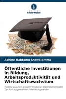 Öffentliche Investitionen in Bildung, Arbeitsproduktivität und Wirtschaftswachstum: Evidenz aus dem erweiterten Solow-Wachstumsmodell, Der Fall ausgewählter Entwicklungsländer 6206021815 Book Cover