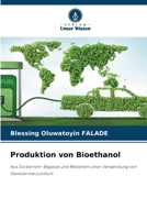 Produktion von Bioethanol (German Edition) 6209974740 Book Cover