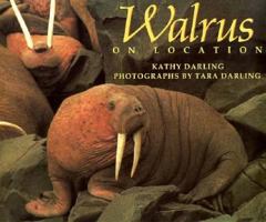 Walrus: On Location (Darling, Kathy. on Location.) 068809032X Book Cover