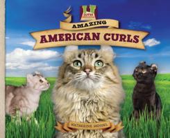 Amazing American Curls 1617148296 Book Cover