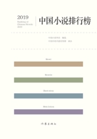 2019??????? 2019 Chinese Novel Rankings (Chinese Edition) 7521211820 Book Cover