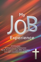 My JOB Experience: A Collection of Inspirational Testimonies B0FM8F6FWS Book Cover