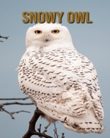 Snowy owl: Super Fun Facts And Amazing Pictures B08CWB7MXF Book Cover