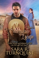 A Convenient Escape (Convenient Risk Series) B08BWCD39M Book Cover