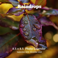 Raindrops 8.5 X 8.5 Calendar September 2019 -December 2020: Monthly Calendar with U.S./UK/ Canadian/Christian/Jewish/Muslim Holidays-Weather Nature Professional Photography 1708172432 Book Cover