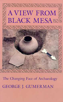 A View from Black Mesa: The Changing Face of Archaeology 0816513406 Book Cover