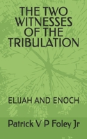 THE TWO WITNESSES OF THE TRIBULATION: ELIJAH AND ENOCH (THE END TIMES EVENTS) B0G43S2TS3 Book Cover