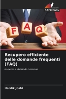 Recupero efficiente delle domande frequenti (FAQ) (Italian Edition) 6209916309 Book Cover