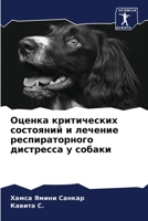 &#1054;&#1094;&#1077;&#1085;&#1082;&#1072; &#1082;&#1088;&#1080;&#1090;&#1080;&#1095;&#1077;&#1089;&#1082;&#1080;&#1093; &#1089;&#1086;&#1089;&#1090;& 620530189X Book Cover