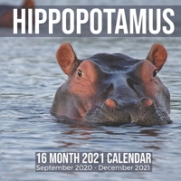 Hippopotamus 16 Month 2021 Calendar September 2020-December 2021: Hippo Square Photo Book Monthly Pages 8.5 x 8.5 Inch B08MHT187X Book Cover