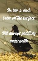 Be Like a Duck Calm on the Surface But Always Paddling Underneath: Journal for Paddling and Duck Lovers (Gift Notebook) 1090627882 Book Cover