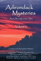 Adirondack Mysteries: And Other Mountain Tales (Volume 3) 159531055X Book Cover