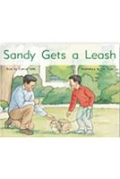 Sandy Gets a Leash: Leveled Reader Bookroom Package Yellow 1418924776 Book Cover
