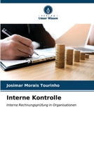 Interne Kontrolle (German Edition) 6206562042 Book Cover