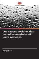 Les causes sociales des maladies mentales et leurs remèdes 6206071081 Book Cover