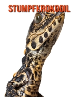 Stumpfkrokodil: Sagenhafte Fotos & Buch mit lustigem Wissen �ber Stumpfkrokodil f�r Kinder B096LPW7JF Book Cover