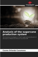 Analysis of the sugarcane production system 6207023501 Book Cover