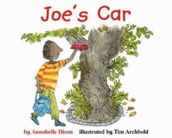 Joe's Car (Thinkers) 1404806628 Book Cover