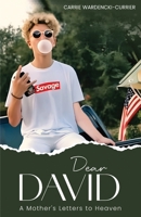 Dear David: A Mother's Letters to Heaven 1966840594 Book Cover