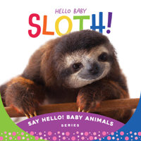 Hello Baby Sloth! 1534112855 Book Cover