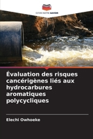 Évaluation des risques cancérigènes liés aux hydrocarbures aromatiques polycycliques (French Edition) 6209738907 Book Cover