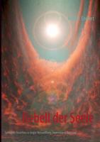 Rebell der Seele: Spirituelle Wege aus Angst, Verzweiflung, Depression  Burn-Out 3732238873 Book Cover