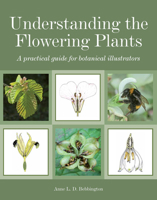 Understanding the Flowering Plants: A Practical Guide for Botanical Illustrators 1847977588 Book Cover