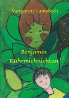 Benjamin R�hrmichnichtan 3749757097 Book Cover