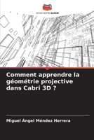 Comment apprendre la géométrie projective dans Cabri 3D ? (French Edition) 620714287X Book Cover