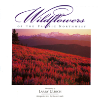 Wildflowers of the Pacific Northwest 0944197574 Book Cover
