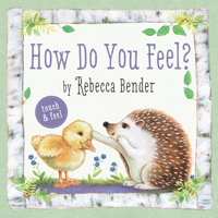 How Do You Feel? 1772780138 Book Cover