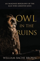 Owl in the Ruins : An Imagined Biography of the Man Who Arrested Jesus 1647463033 Book Cover