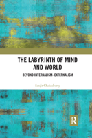 The Labyrinth of Mind and World 1032176210 Book Cover