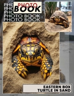 Eastern Box Turtle In Sand Photo Book: Explore 40 Stunning Images Of This Unique Turtle In Its Natural Sand Habitat B0DPJD92FQ Book Cover