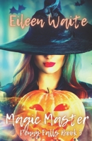 Magic Master: Penny Falls Book 3 B0CL1TKYPC Book Cover
