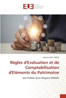Règles d'Evaluation et de Comptabilisation d'Eléments du Patrimoine 6203450715 Book Cover
