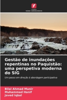 Gestão de inundações repentinas no Paquistão: uma perspetiva moderna do SIG 6209416500 Book Cover
