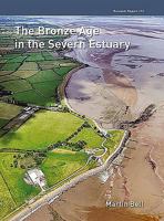 The Bronze Age in the Severn Estuary 190277194X Book Cover