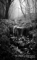 The Space of Inbetween: A Journal: a wide-ruled journal of 150 pages: featuring a monochrome woodland photography: 3 covers available 1670747794 Book Cover