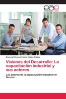 Visiones del Desarrollo: La capacitación industrial y sus actores 6202133228 Book Cover