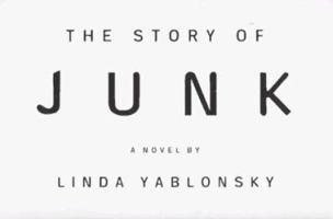 The Story of Junk: A Novel 0316968080 Book Cover