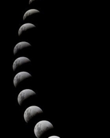 Gratitude Yoga: gratitude yoga tank B084WT7FWN Book Cover