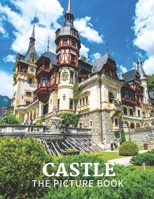 Castle: The Picture Book of Amazing Castle for Dementia, Seniors, Alzheimer's and Parkinson's. B08W7JTWMP Book Cover