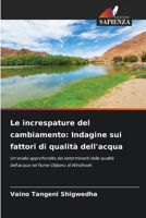 Le increspature del cambiamento: Indagine sui fattori di qualità dell'acqua (Italian Edition) 6208293502 Book Cover