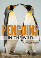 Penguins in the Wild 1682033724 Book Cover