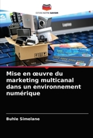 Mise en oeuvre du marketing multicanal dans un environnement num�rique 6204045636 Book Cover